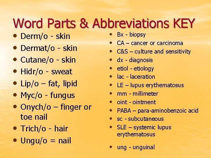 Word Parts & Abbreviations KEY • • • Derm/o - skin Dermat/o - skin