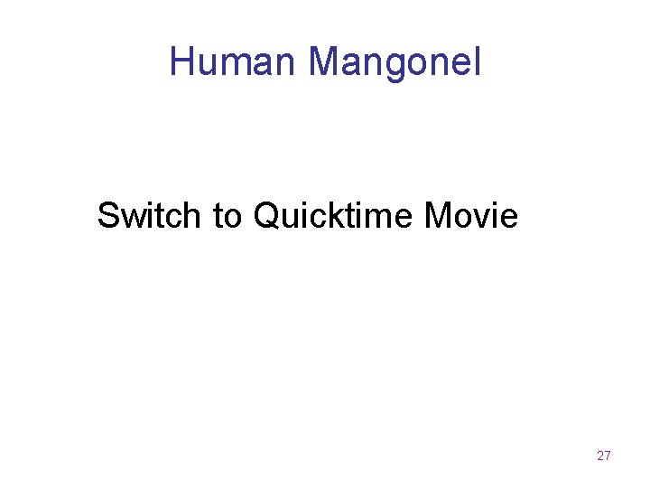 Human Mangonel Switch to Quicktime Movie 27 