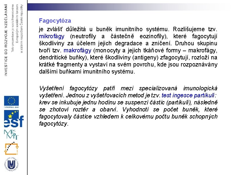 Fagocytóza je zvlášť důležitá u buněk imunitního systému. Rozlišujeme tzv. mikrofágy (neutrofily a částečně