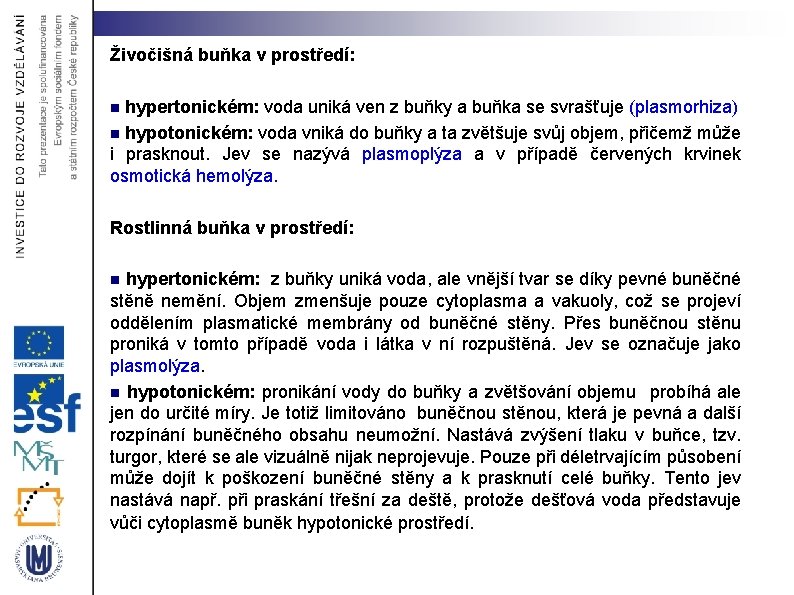 Živočišná buňka v prostředí: hypertonickém: voda uniká ven z buňky a buňka se svrašťuje