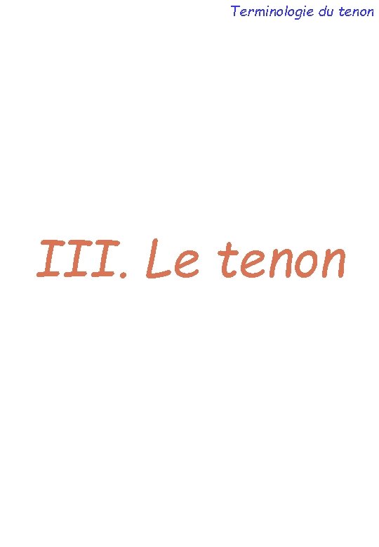Terminologie du tenon III. Le tenon 