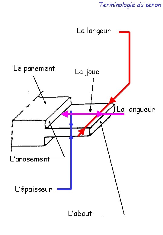 Terminologie du tenon La largeur Le parement La joue La longueur L’arasement L’épaisseur L’about
