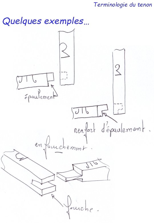 Terminologie du tenon Quelques exemples… 