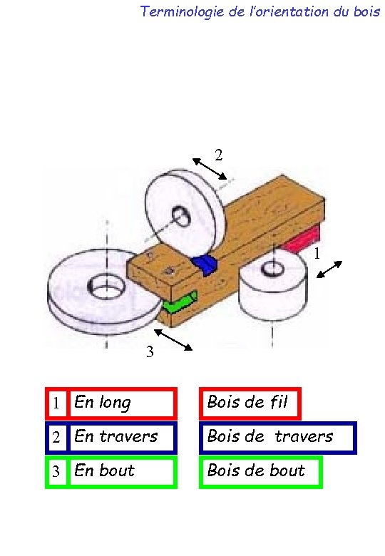 Terminologie de l’orientation du bois 2 1 3 1 En long Bois de fil