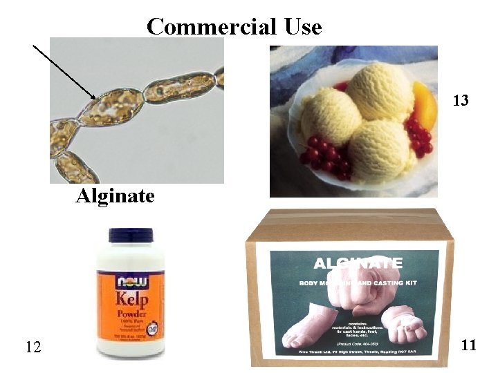 Commercial Use 13 Alginate 12 11 