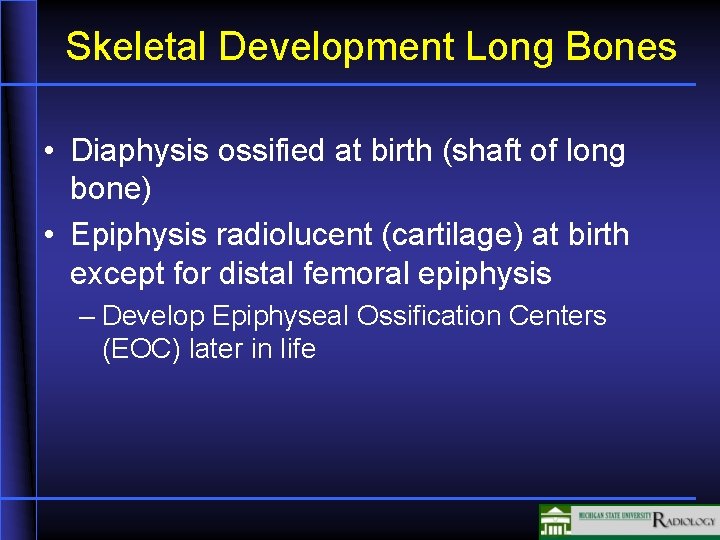 Skeletal Development Long Bones • Diaphysis ossified at birth (shaft of long bone) •