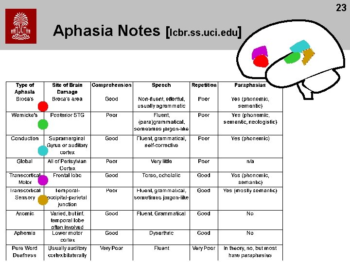 23 Aphasia Notes [lcbr. ss. uci. edu] 