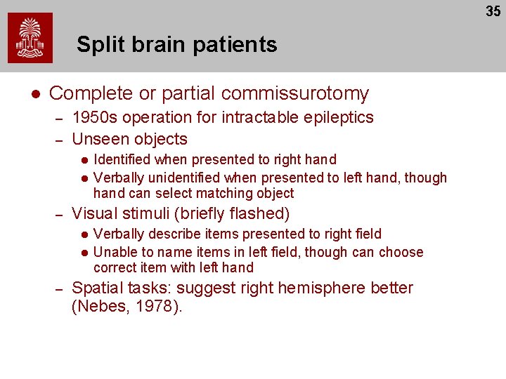 35 Split brain patients l Complete or partial commissurotomy – – 1950 s operation 35 Split brain patients l Complete or partial commissurotomy – – 1950 s operation