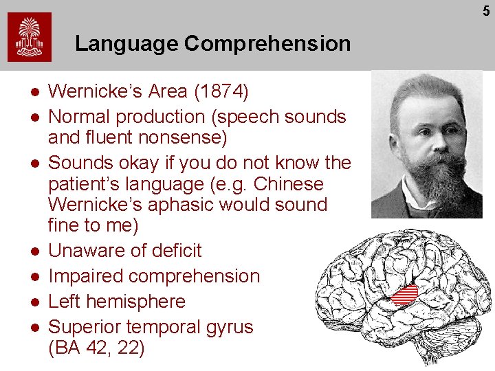5 Language Comprehension l l l l Wernicke’s Area (1874) Normal production (speech sounds 5 Language Comprehension l l l l Wernicke’s Area (1874) Normal production (speech sounds