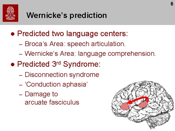 6 Wernicke’s prediction l Predicted two language centers: – – l Broca’s Area: speech 6 Wernicke’s prediction l Predicted two language centers: – – l Broca’s Area: speech