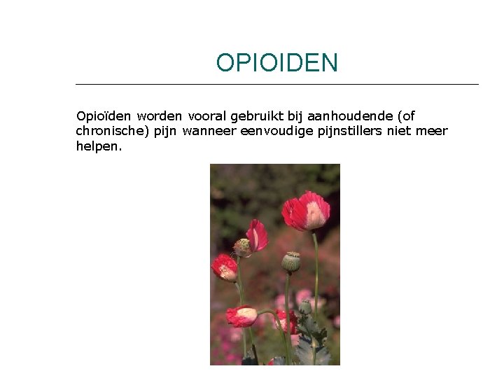 OPIOIDEN Opioïden worden vooral gebruikt bij aanhoudende (of chronische) pijn wanneer eenvoudige pijnstillers niet