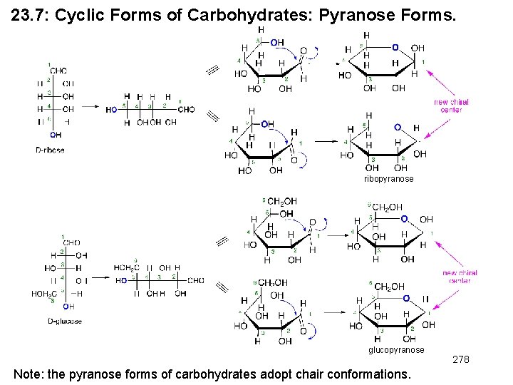 23. 7: Cyclic Forms of Carbohydrates: Pyranose Forms. ribopyranose glucopyranose Note: the pyranose forms