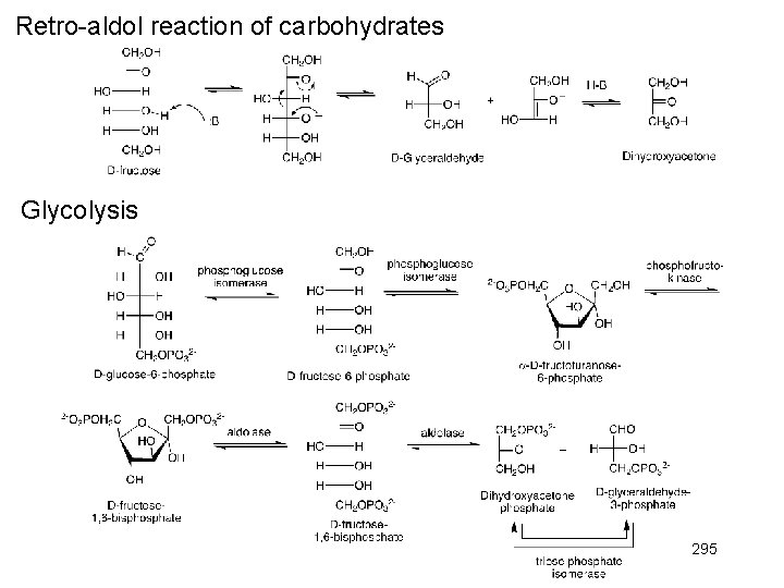 Retro-aldol reaction of carbohydrates Glycolysis 295 