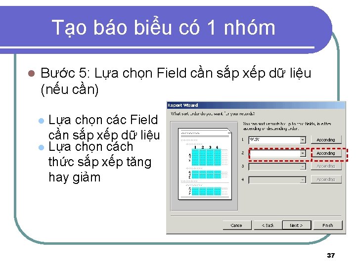 Tạo báo biểu có 1 nhóm l Bước 5: Lựa chọn Field cần sắp