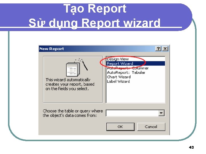 Tạo Report Sử dụng Report wizard 43 