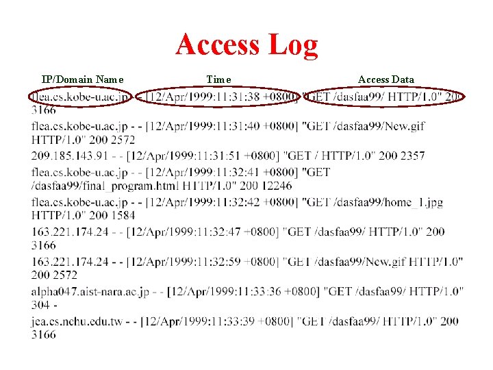 Access Log IP/Domain Name Time Access Data 