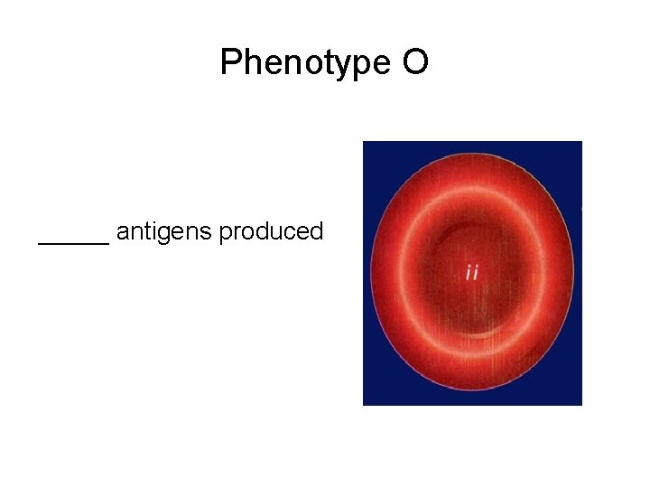 Phenotype O _____ antigens produced 
