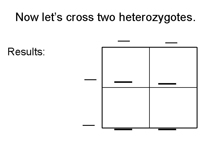 Now let’s cross two heterozygotes. __ __ Results: 