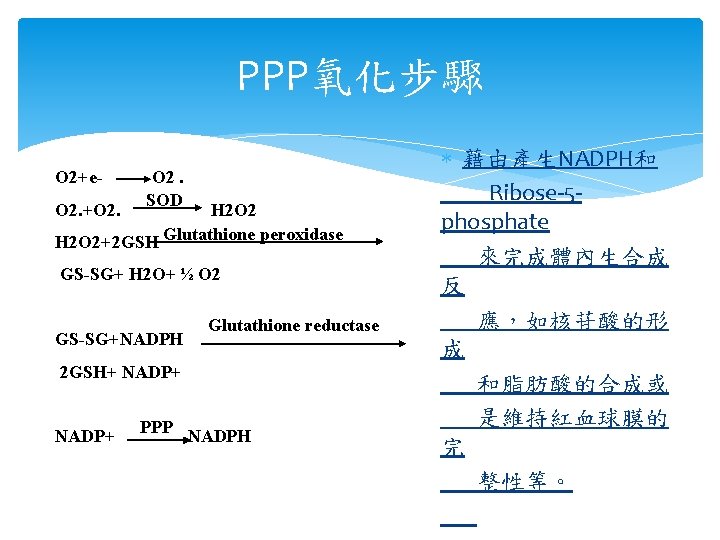 PPP氧化步驟 O 2+e. O 2. +O 2. SOD H 2 O 2+2 GSH Glutathione