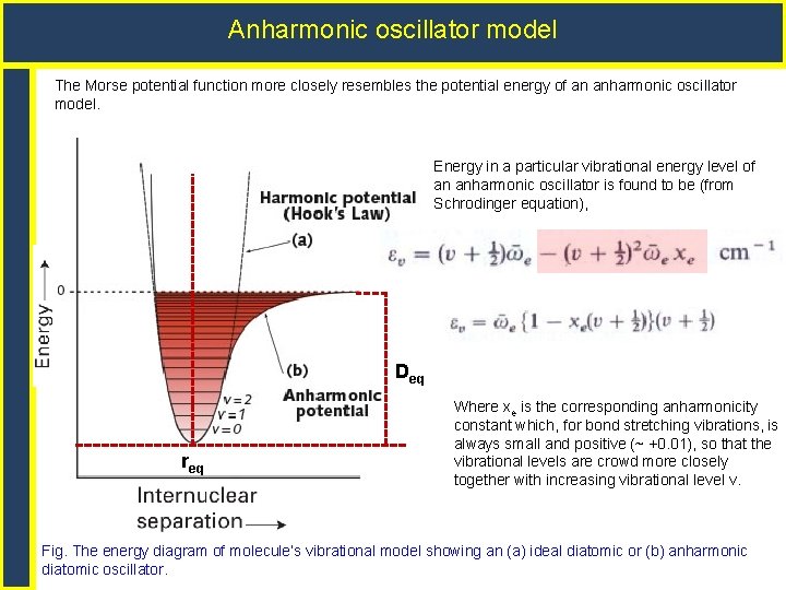 Anharmonic oscillator model The Morse potential function more closely resembles the potential energy of