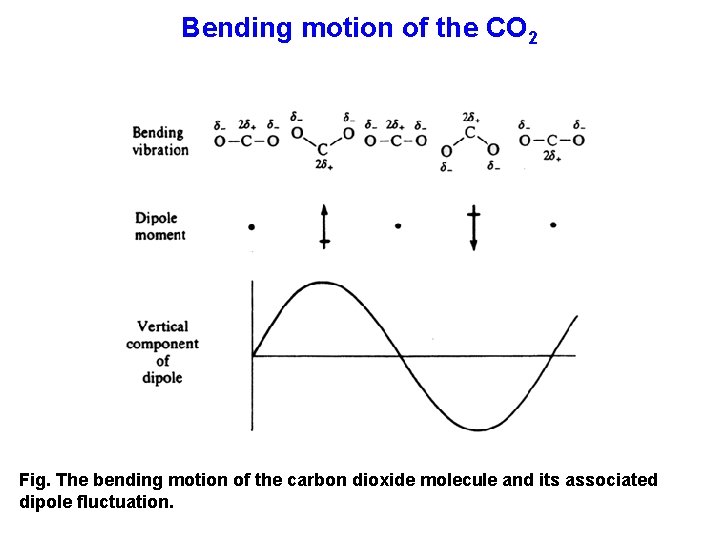 Bending motion of the CO 2 Fig. The bending motion of the carbon dioxide