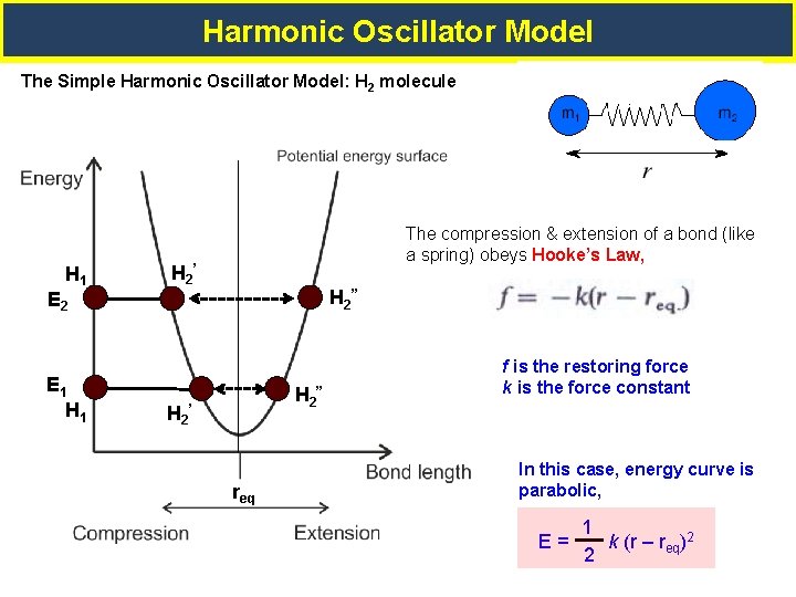 Harmonic Oscillator Model The Simple Harmonic Oscillator Model: H 2 molecule H 1 The