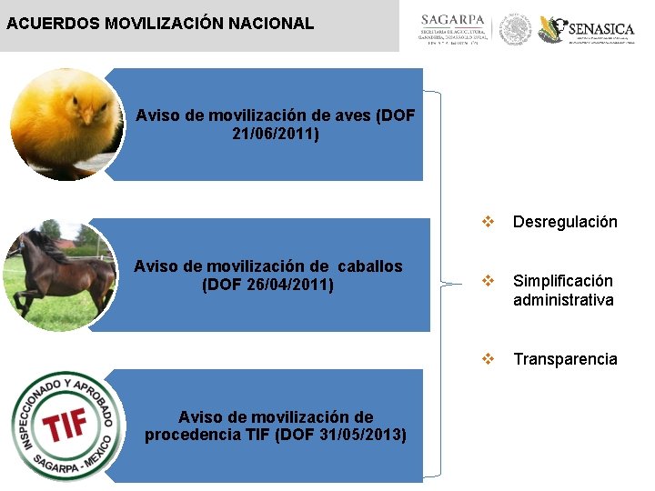 ACUERDOS MOVILIZACIÓN NACIONAL Aviso de movilización de aves (DOF 21/06/2011) Aviso de movilización de