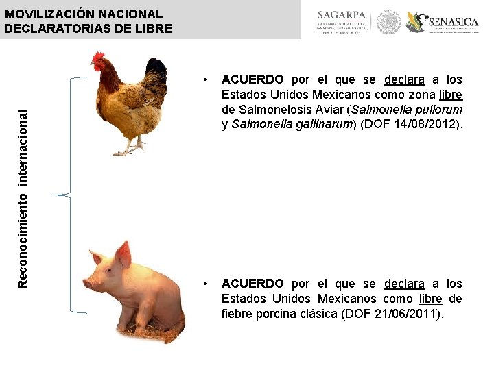 Reconocimiento internacional MOVILIZACIÓN NACIONAL DECLARATORIAS DE LIBRE • ACUERDO por el que se declara