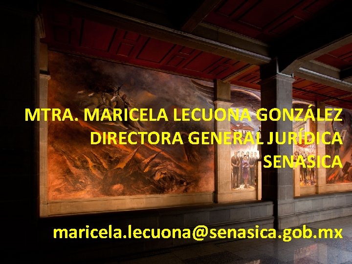 MTRA. MARICELA LECUONA GONZÁLEZ DIRECTORA GENERAL JURÍDICA SENASICA maricela. lecuona@senasica. gob. mx 15 