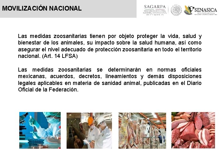 MOVILIZACIÓN NACIONAL Las medidas zoosanitarias tienen por objeto proteger la vida, salud y bienestar