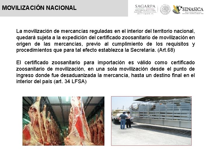 MOVILIZACIÓN NACIONAL La movilización de mercancías reguladas en el interior del territorio nacional, quedará