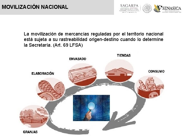 MOVILIZACIÓN NACIONAL La movilización de mercancías reguladas por el territorio nacional está sujeta a