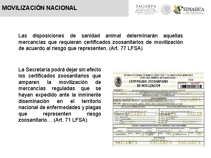 MOVILIZACIÓN NACIONAL Las disposiciones de sanidad animal determinarán aquellas mercancías que requieran certificados zoosanitarios