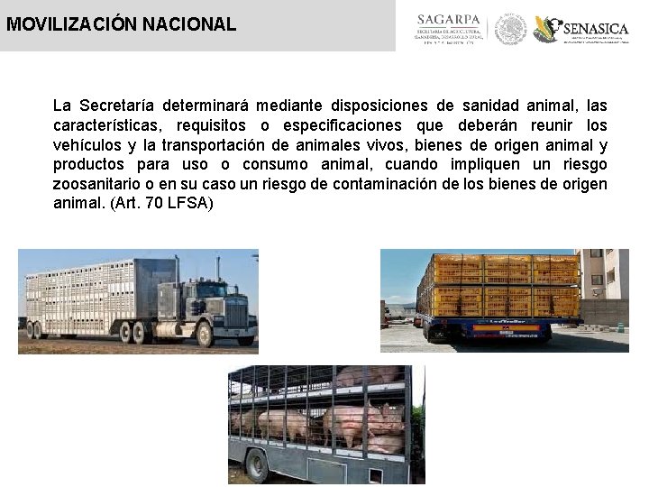 MOVILIZACIÓN NACIONAL La Secretaría determinará mediante disposiciones de sanidad animal, las características, requisitos o