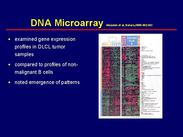 DNA Microarray · examined gene expression profiles in DLCL tumor samples · compared to