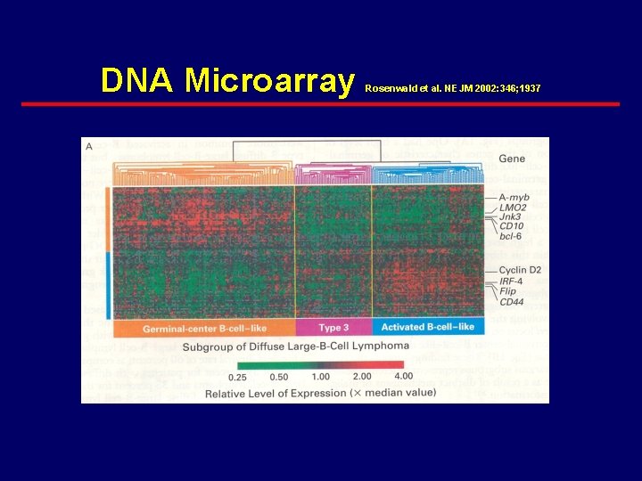 DNA Microarray Rosenwald et al. NEJM 2002: 346; 1937 