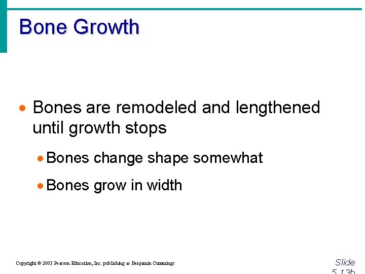 Bone Growth · Bones are remodeled and lengthened until growth stops · Bones change