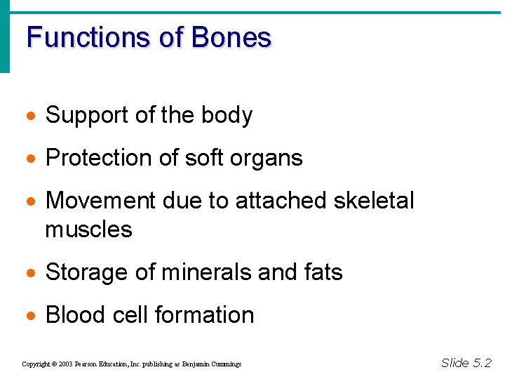 Functions of Bones · Support of the body · Protection of soft organs ·