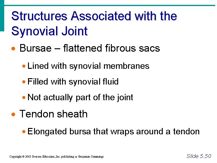 Structures Associated with the Synovial Joint · Bursae – flattened fibrous sacs · Lined
