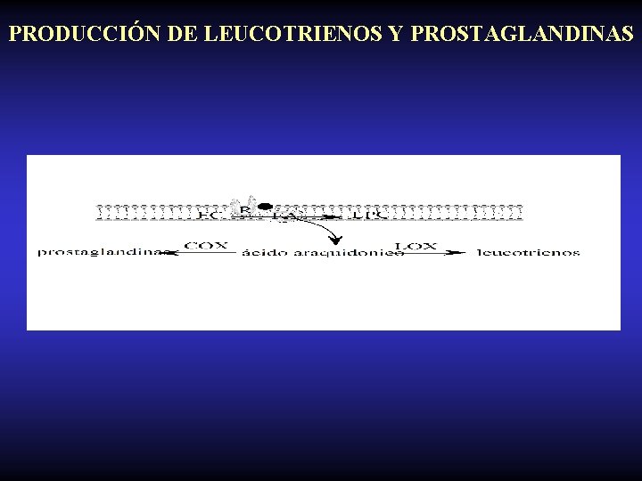 PRODUCCIÓN DE LEUCOTRIENOS Y PROSTAGLANDINAS 