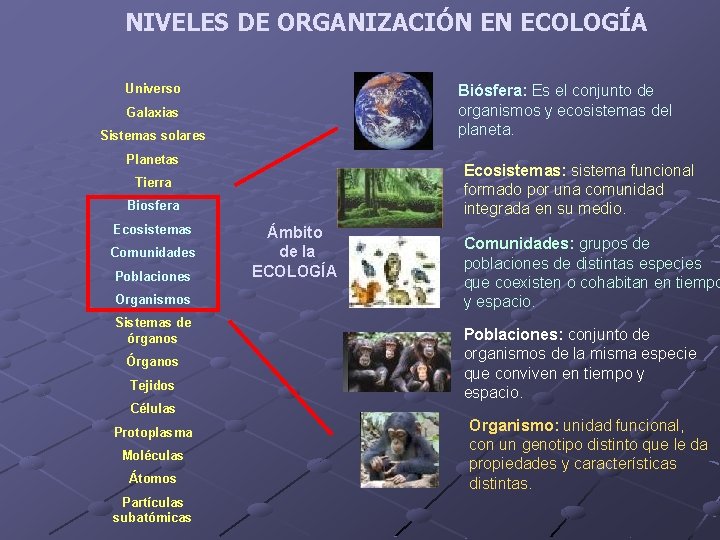 NIVELES DE ORGANIZACIÓN EN ECOLOGÍA Universo Biósfera: Es el conjunto de organismos y ecosistemas