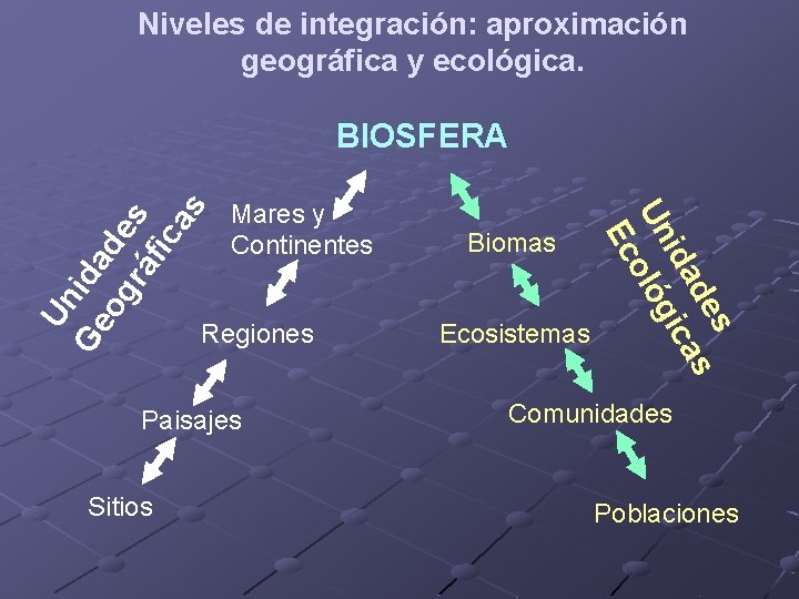 Niveles de integración: aproximación geográfica y ecológica. Mares y Continentes Regiones Paisajes Sitios Biomas