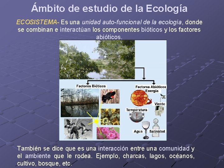 Ámbito de estudio de la Ecología ECOSISTEMA- Es una unidad auto-funcional de la ecología,