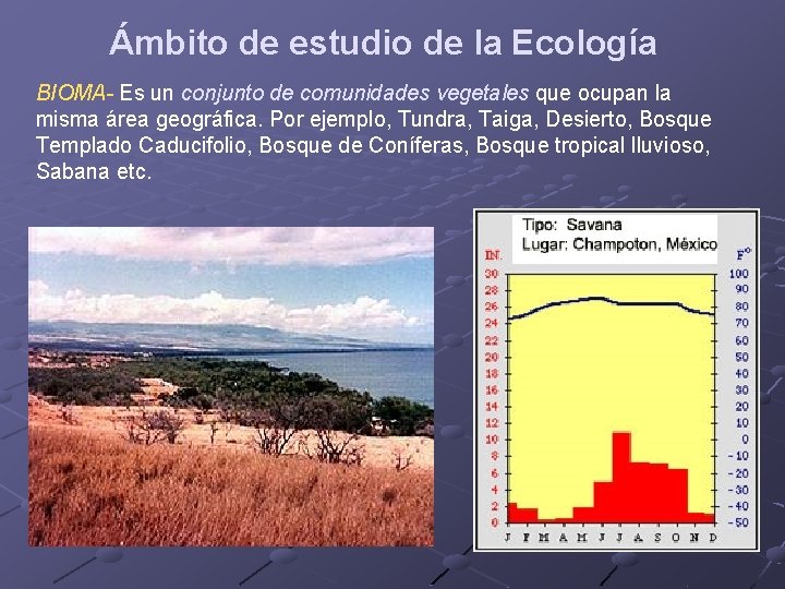 Ámbito de estudio de la Ecología BIOMA- Es un conjunto de comunidades vegetales que