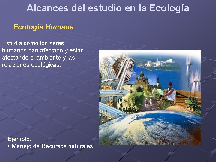 Alcances del estudio en la Ecología Humana Estudia cómo los seres humanos han afectado