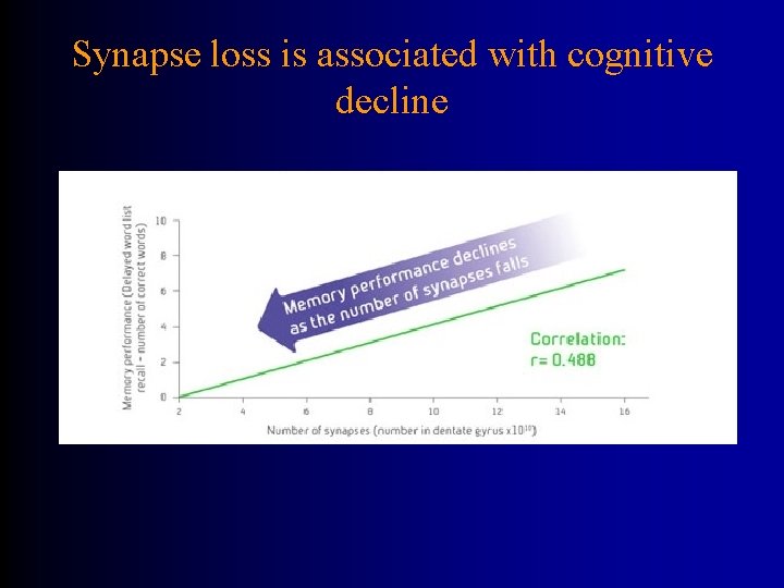 Synapse loss is associated with cognitive decline 