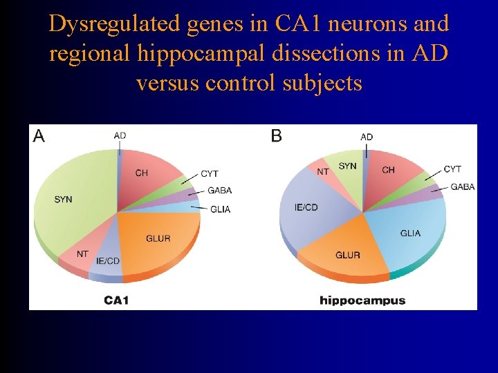 Dysregulated genes in CA 1 neurons and regional hippocampal dissections in AD versus control