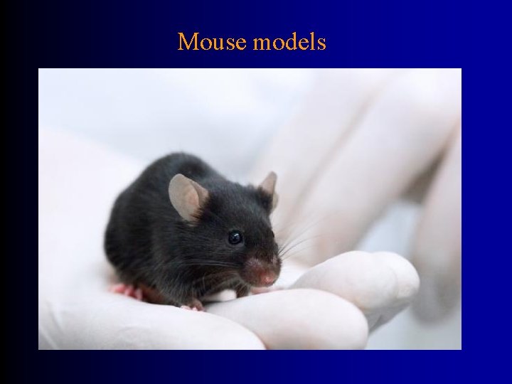 Mouse models 