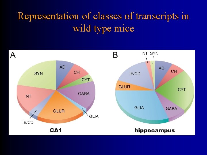 Representation of classes of transcripts in wild type mice 
