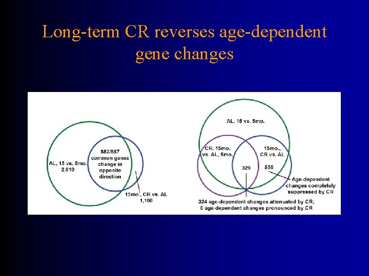 Long-term CR reverses age-dependent gene changes 